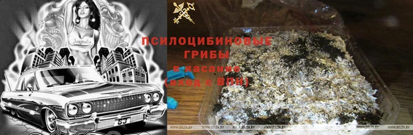 герыч Аркадак