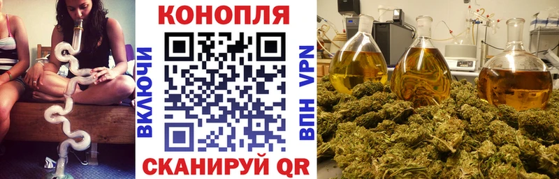 Канабис планчик  даркнет сайт  Пустошка 